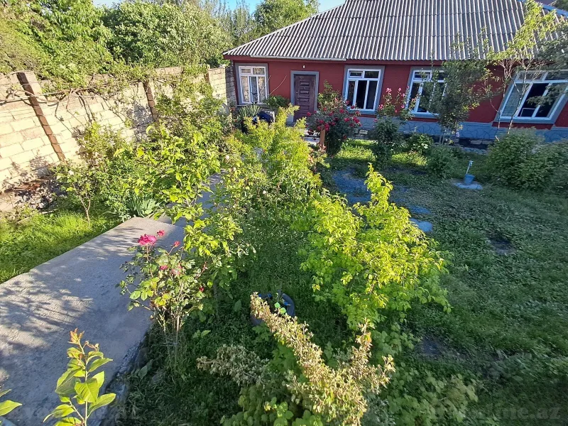 Satılır Torpaq 4.5 sot Qəbələ - şəkil 8