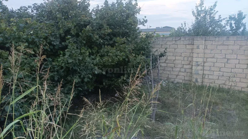 Satılır Torpaq 10 sot Xaçmaz - şəkil 3