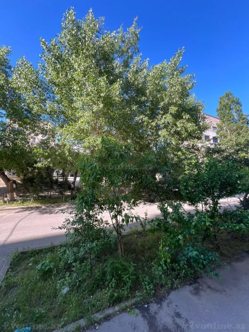 Satılır 4 otaqlı Mənzil Köhnə tikili 83.6 m² Sumqayıt - şəkil 15