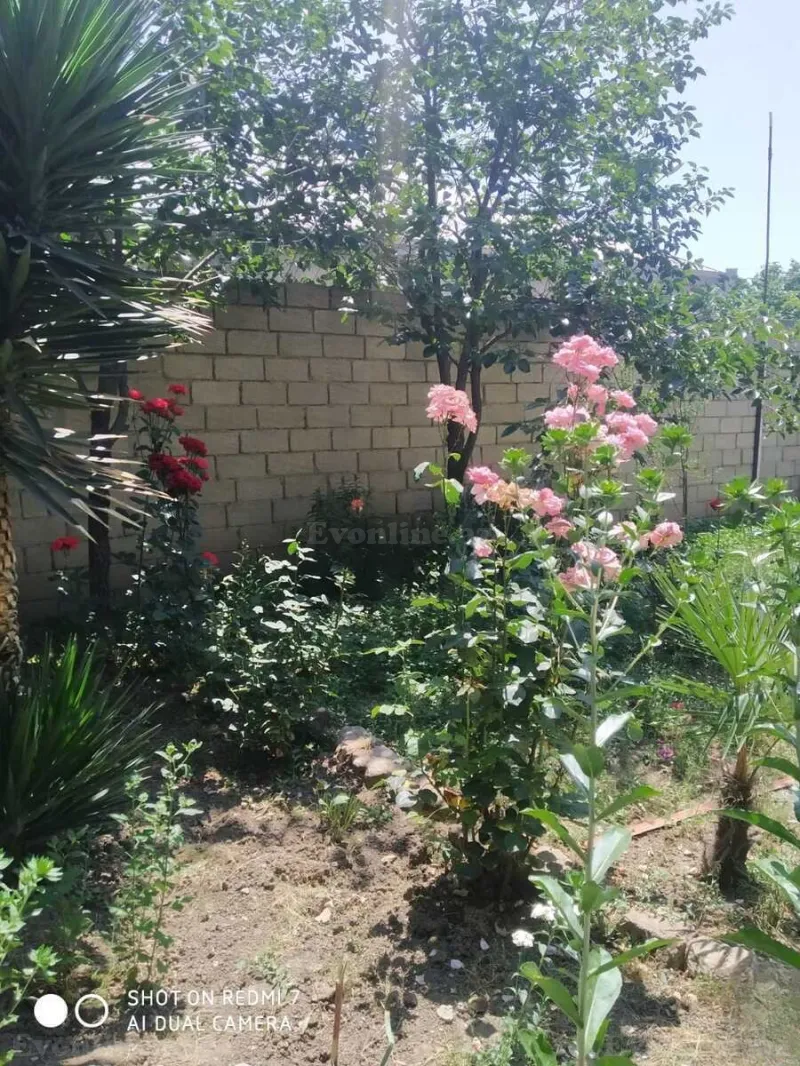 Satılır 4 otaqlı Həyət evi 140 m² Şamaxı