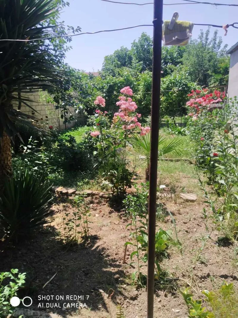 Satılır 4 otaqlı Həyət evi 140 m² Şamaxı - şəkil 3