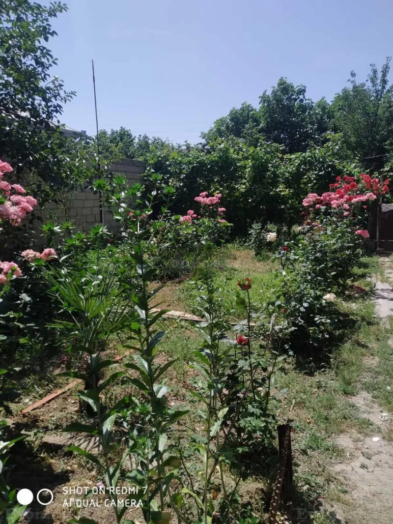 Satılır 4 otaqlı Həyət evi 140 m² Şamaxı - şəkil 4