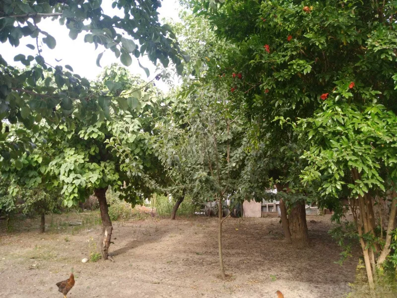 Satılır 4 otaqlı Həyət evi 140 m² Şamaxı - şəkil 5