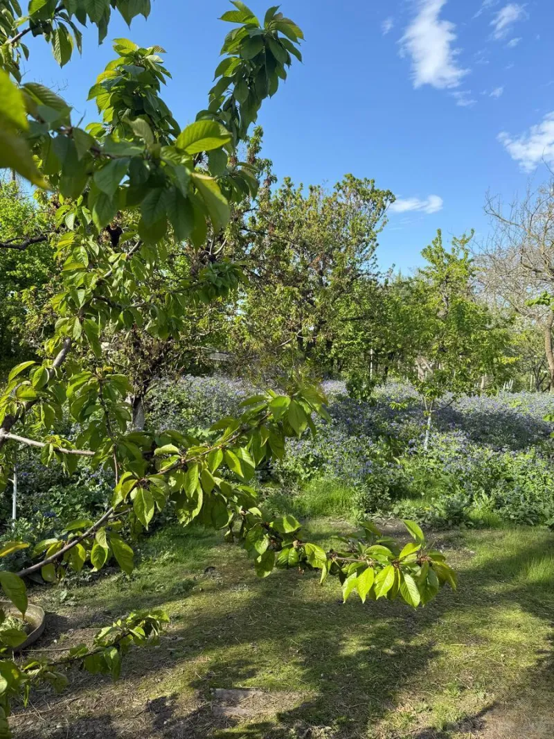 Satılır 6 otaqlı Həyət evi 130 m² Qusar
