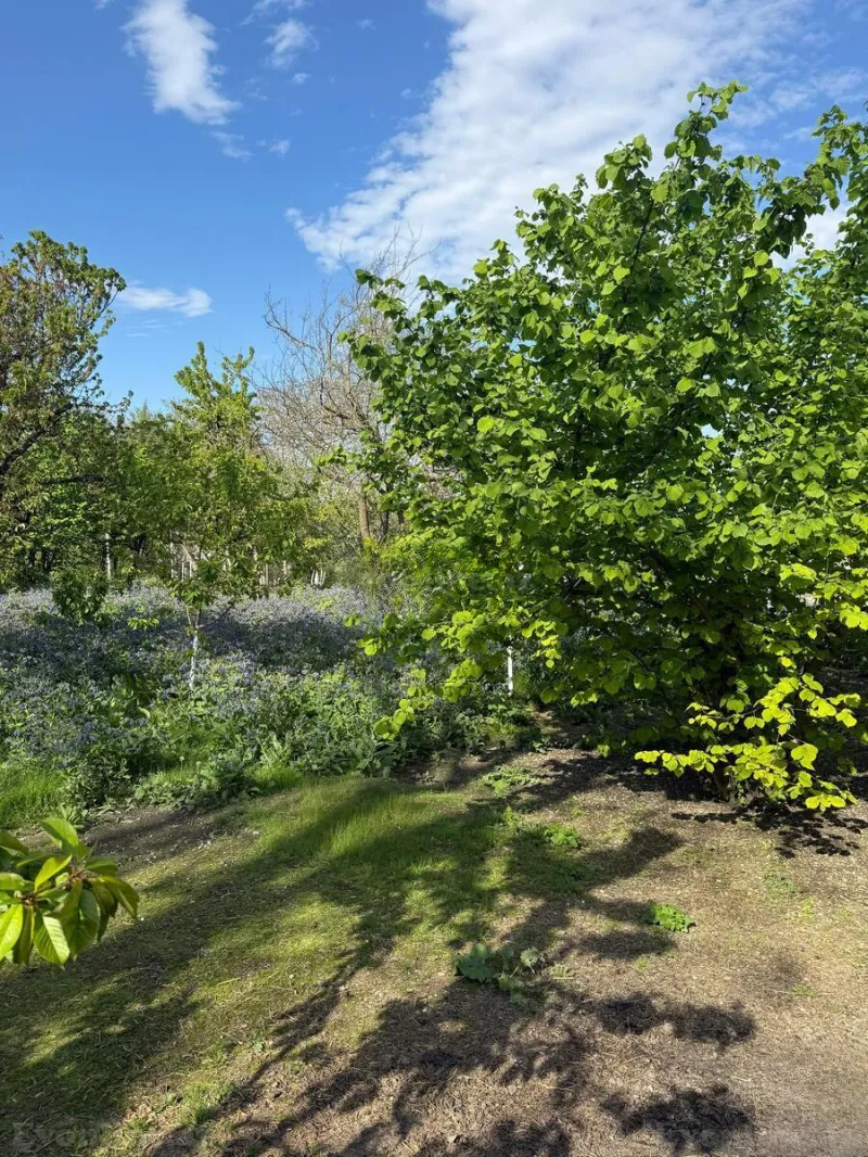 Satılır 6 otaqlı Həyət evi 130 m² Qusar - şəkil 9