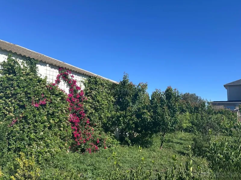 Kirayə verilir 1 otaqlı Həyət evi 80 m² Bilgəh - şəkil 13
