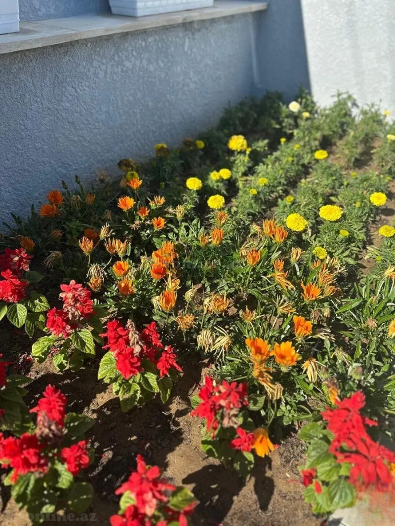 Kirayə verilir 1 otaqlı Həyət evi 80 m² Bilgəh - şəkil 14