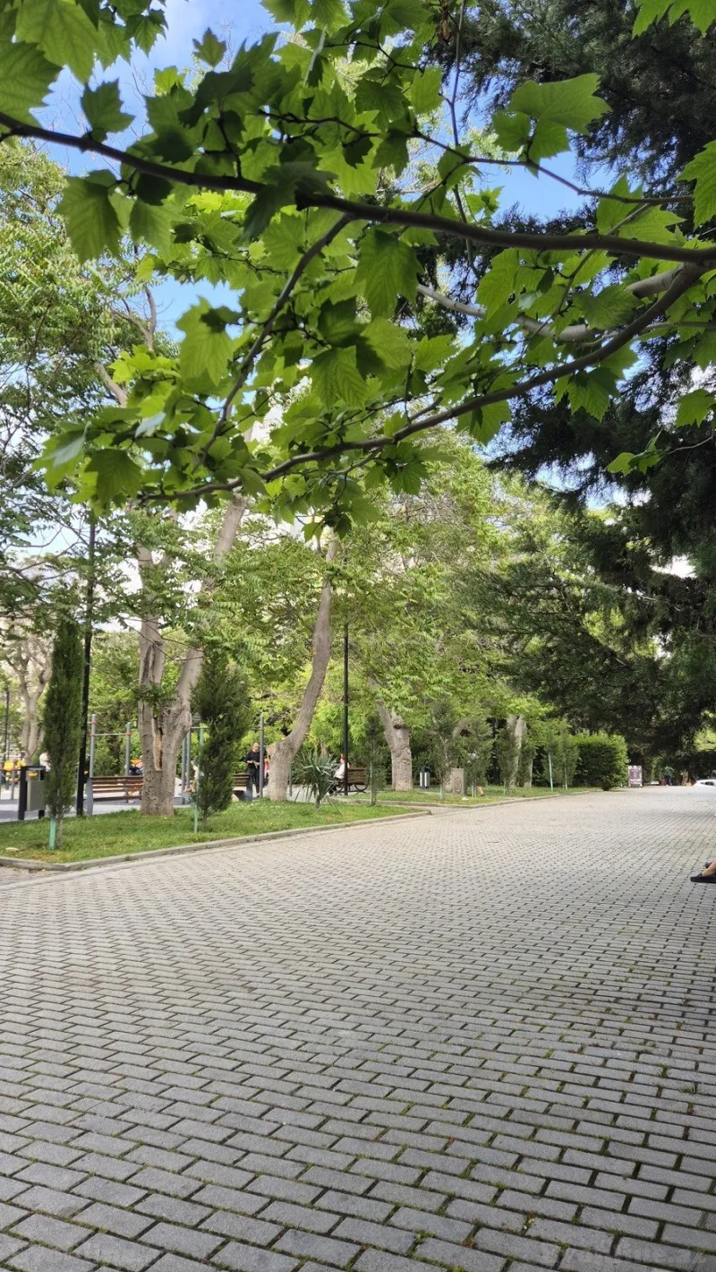 Satılır 3 otaqlı Mənzil Yeni tikili 130 m² Nəsimi r. - şəkil 2