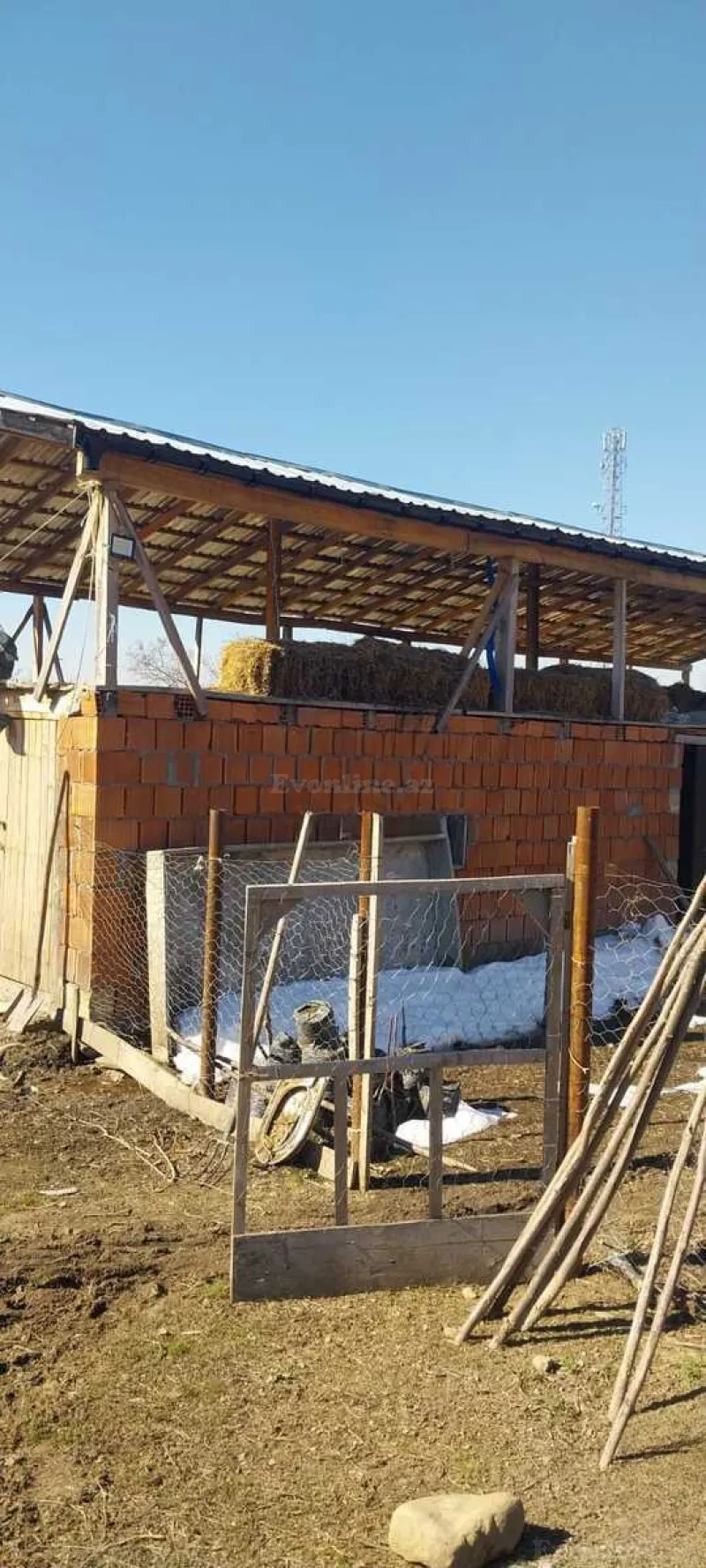 Satılır Torpaq 18 sot Qax - şəkil 3