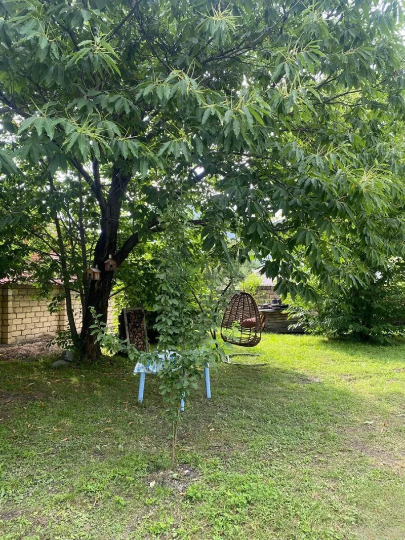 Kirayə verilir 4 otaqlı Həyət evi 220 m² Qəbələ - şəkil 12