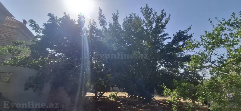 Satılır Torpaq 10 sot Mehdiabad