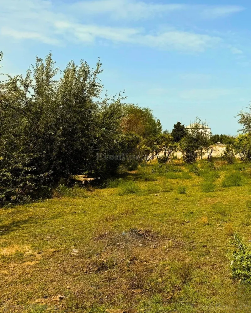 Satılır Torpaq 25 sot Novxanı - şəkil 2