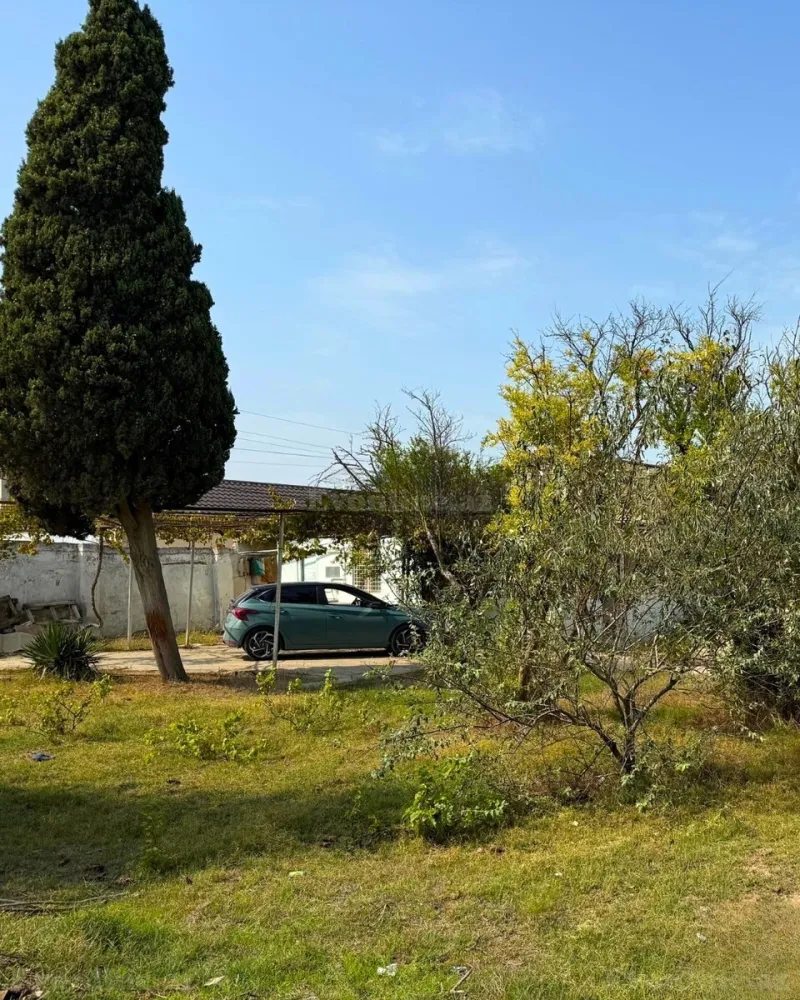 Satılır Torpaq 25 sot Novxanı - şəkil 3