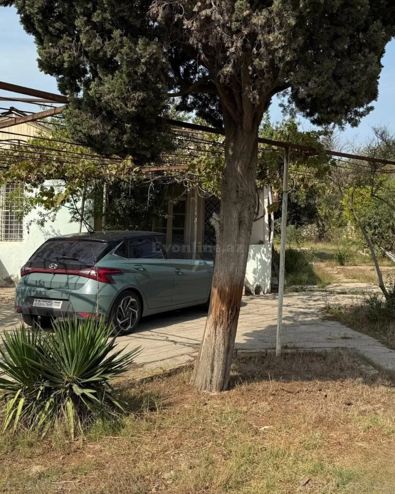 Satılır Torpaq 25 sot Novxanı - şəkil 4