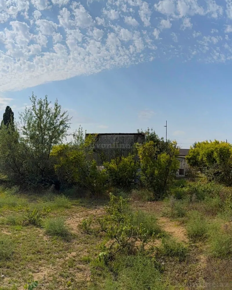 Satılır Torpaq 25 sot Novxanı - şəkil 13
