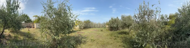Satılır Torpaq 25 sot Novxanı - şəkil 19