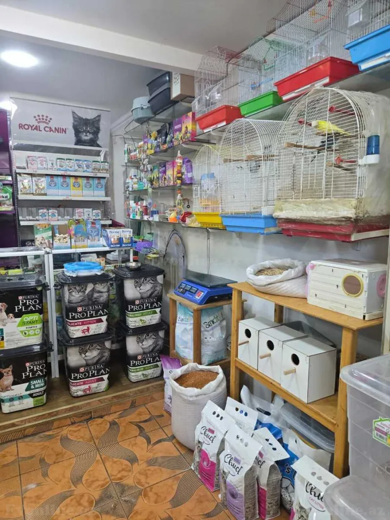 Kirayə verilir Obyekt 65 m² Elmlər Akademiyası m. - şəkil 3