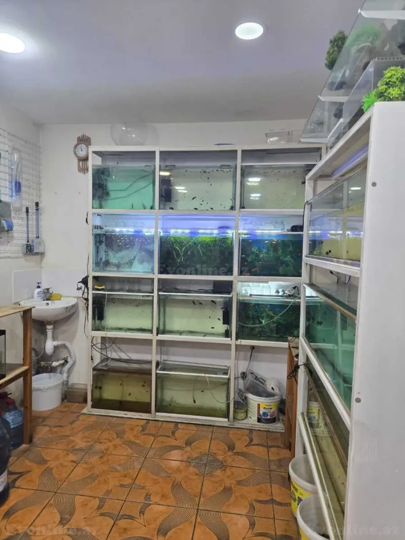 Kirayə verilir Obyekt 65 m² Elmlər Akademiyası m. - şəkil 4