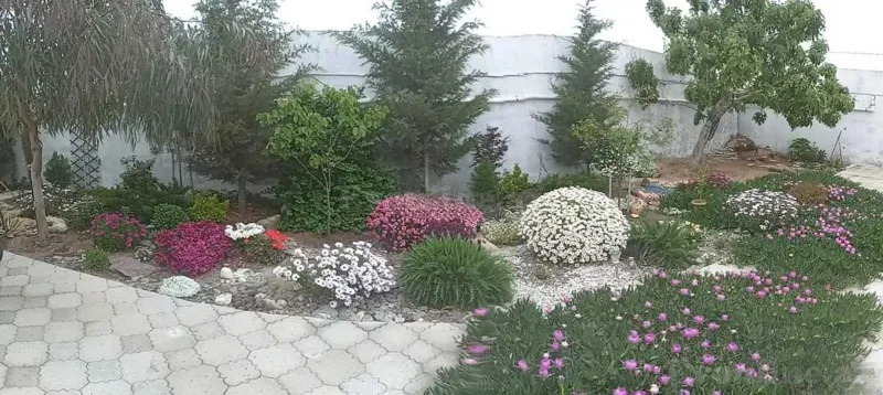Satılır 6 otaqlı Həyət evi 200 m² Albalılıq - şəkil 24