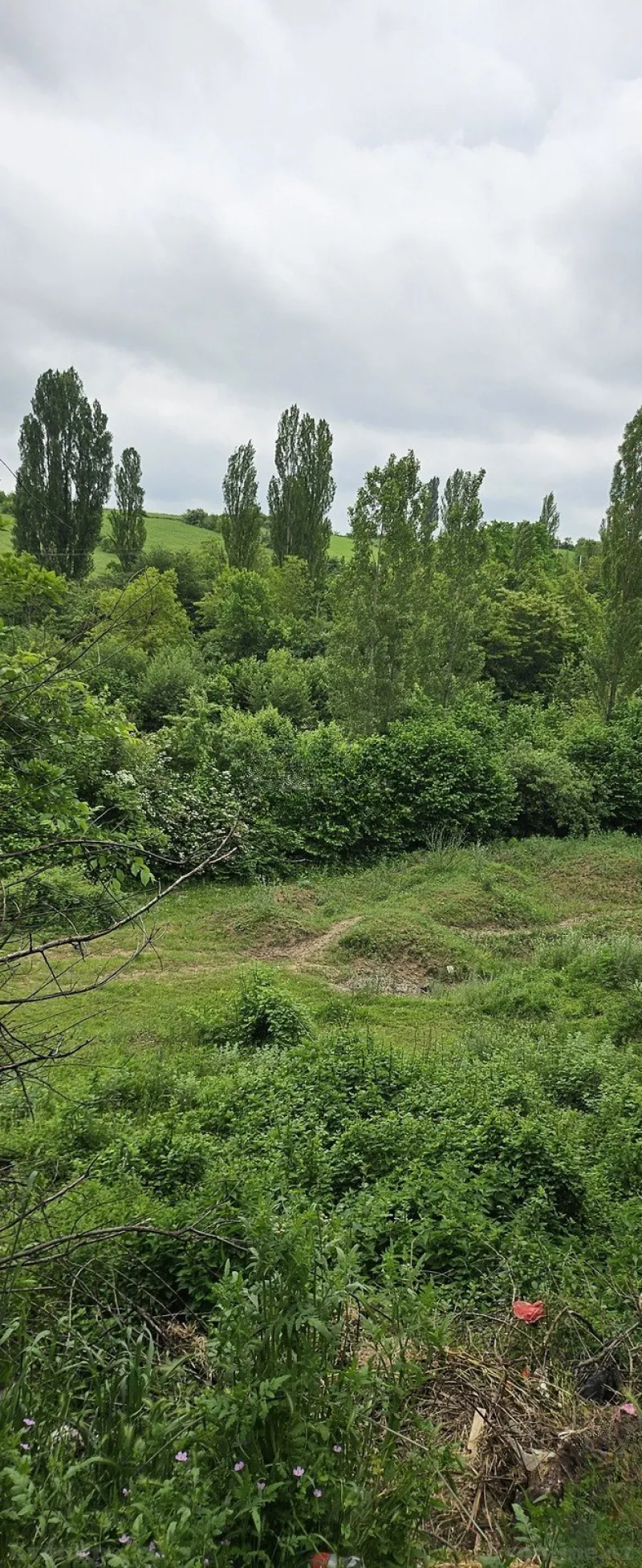 Satılır Torpaq 12 sot Qusar - şəkil 4
