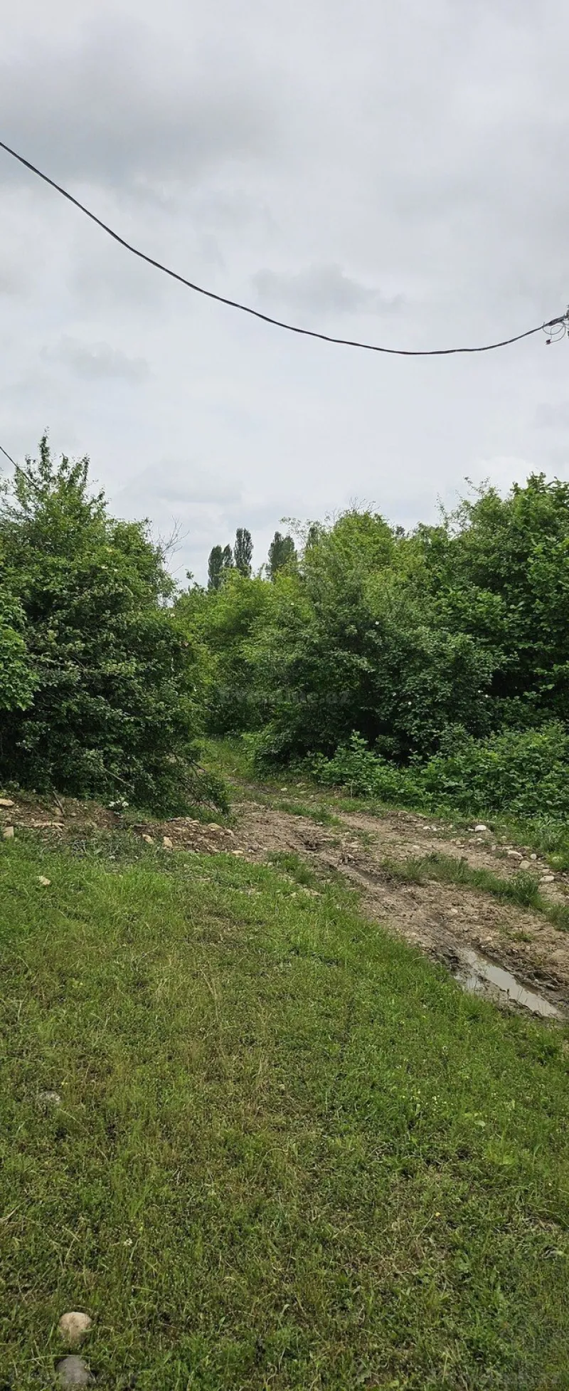 Satılır Torpaq 12 sot Qusar - şəkil 6