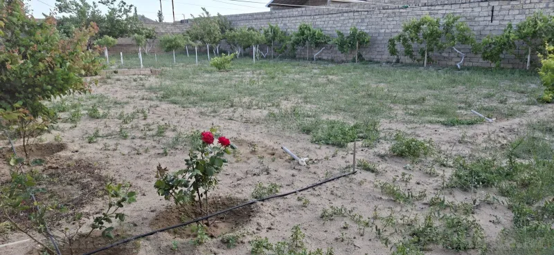 Torpaq Zirə Satılır