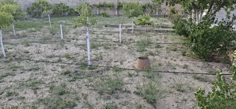 Satılır Torpaq 6.5 sot Zirə - şəkil 4