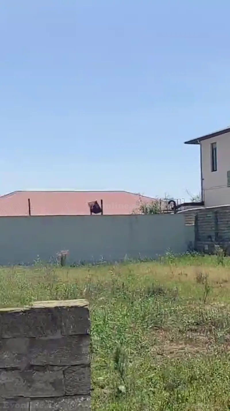 Satılır Torpaq 11 sot Buzovna - şəkil 3