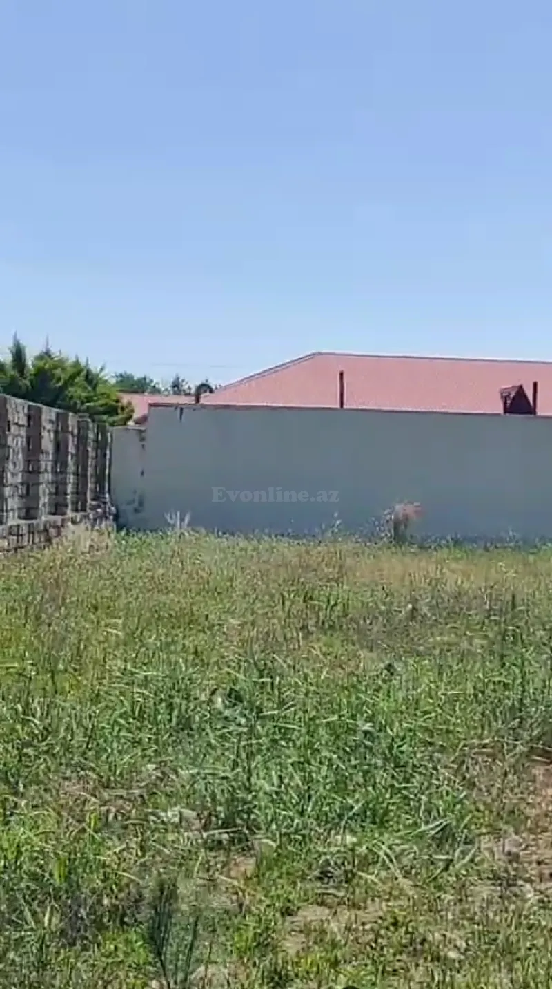 Satılır Torpaq 11 sot Buzovna - şəkil 5