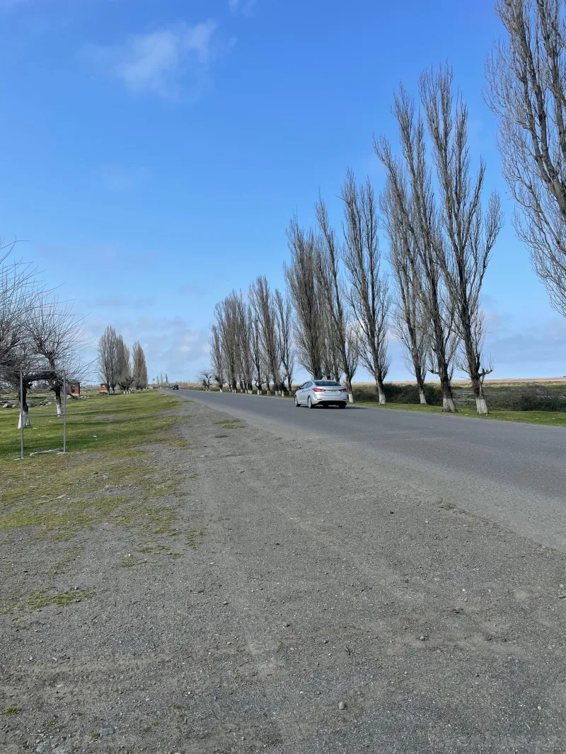 Kirayə verilir Obyekt 9000 m² Lənkəran - şəkil 9