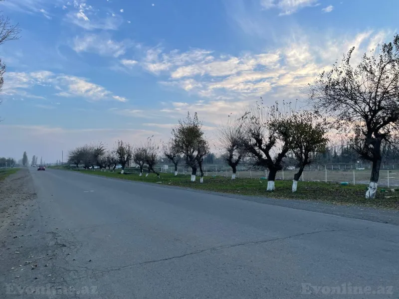 Kirayə verilir Obyekt 9000 m² Lənkəran - şəkil 12