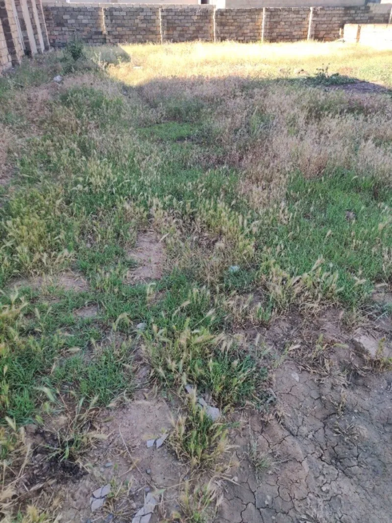 Satılır Torpaq 5 sot Mehdiabad - şəkil 4