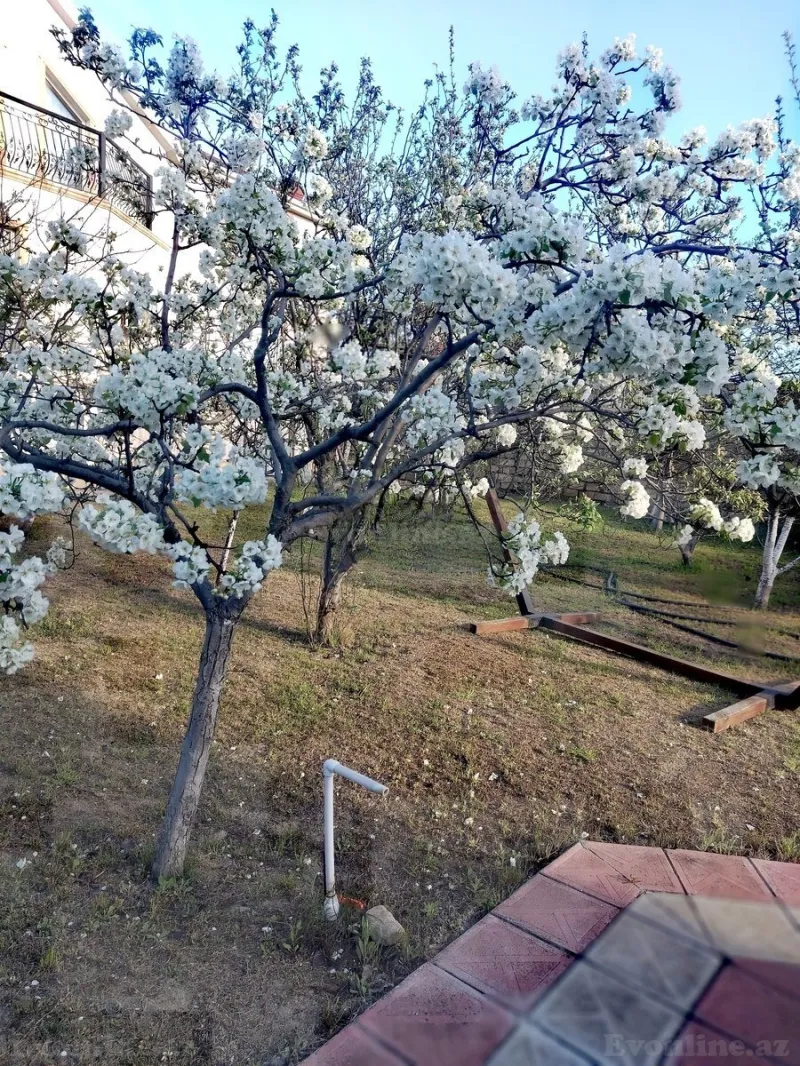 Kirayə verilir 6 otaqlı Həyət evi 350 m² Novxanı - şəkil 6