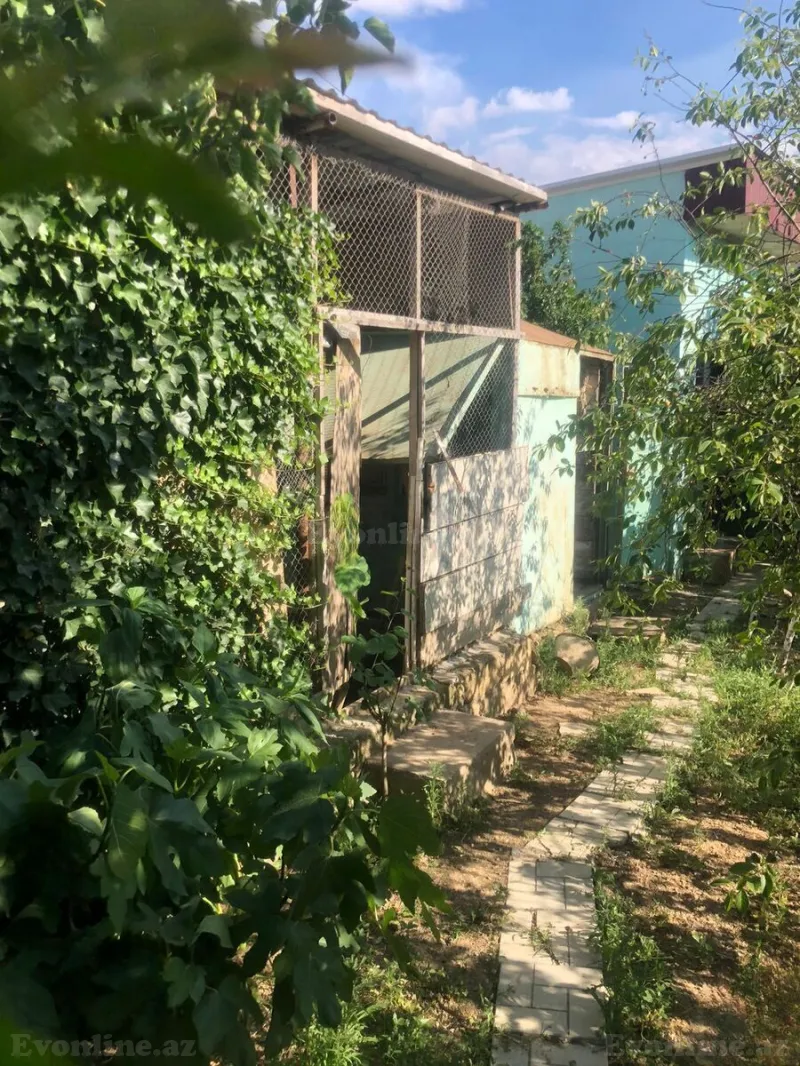 Satılır Torpaq 8 sot Saray - şəkil 5