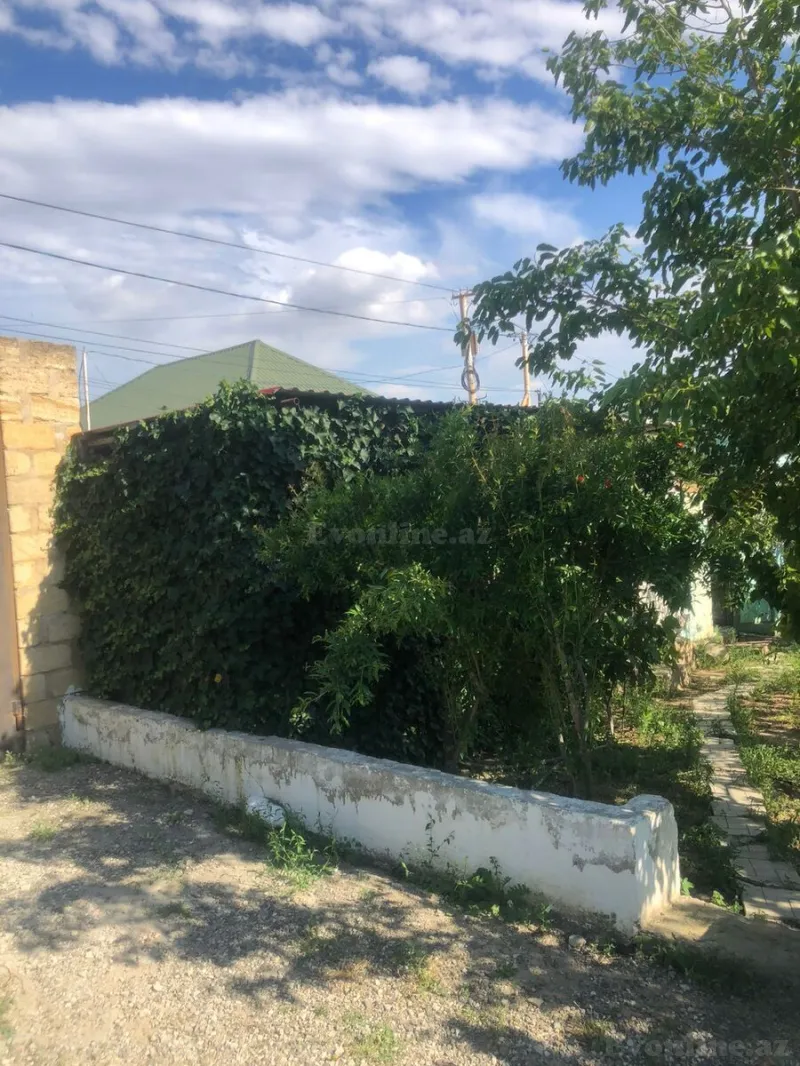 Satılır Torpaq 8 sot Saray - şəkil 6