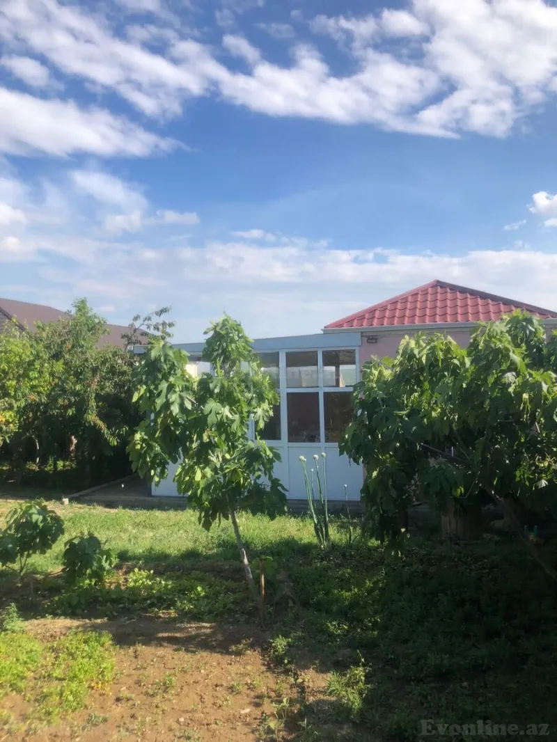 Satılır Torpaq 8 sot Saray - şəkil 8