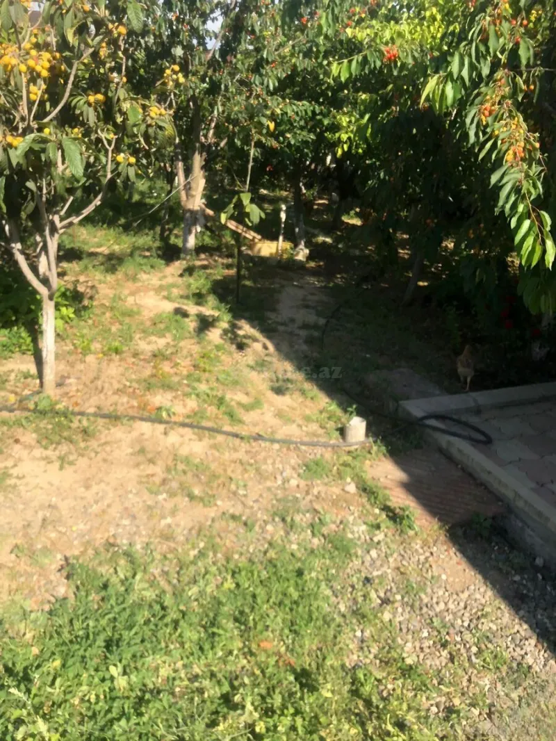 Satılır Torpaq 8 sot Saray - şəkil 10