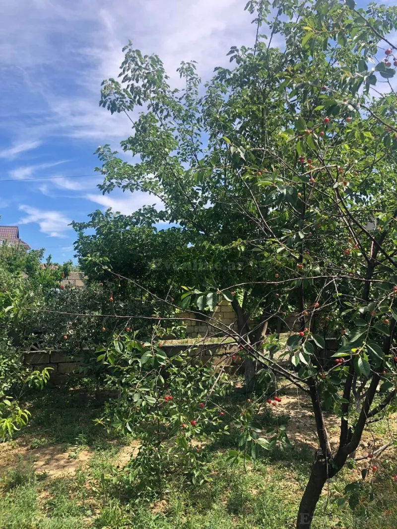 Satılır Torpaq 8 sot Saray - şəkil 22