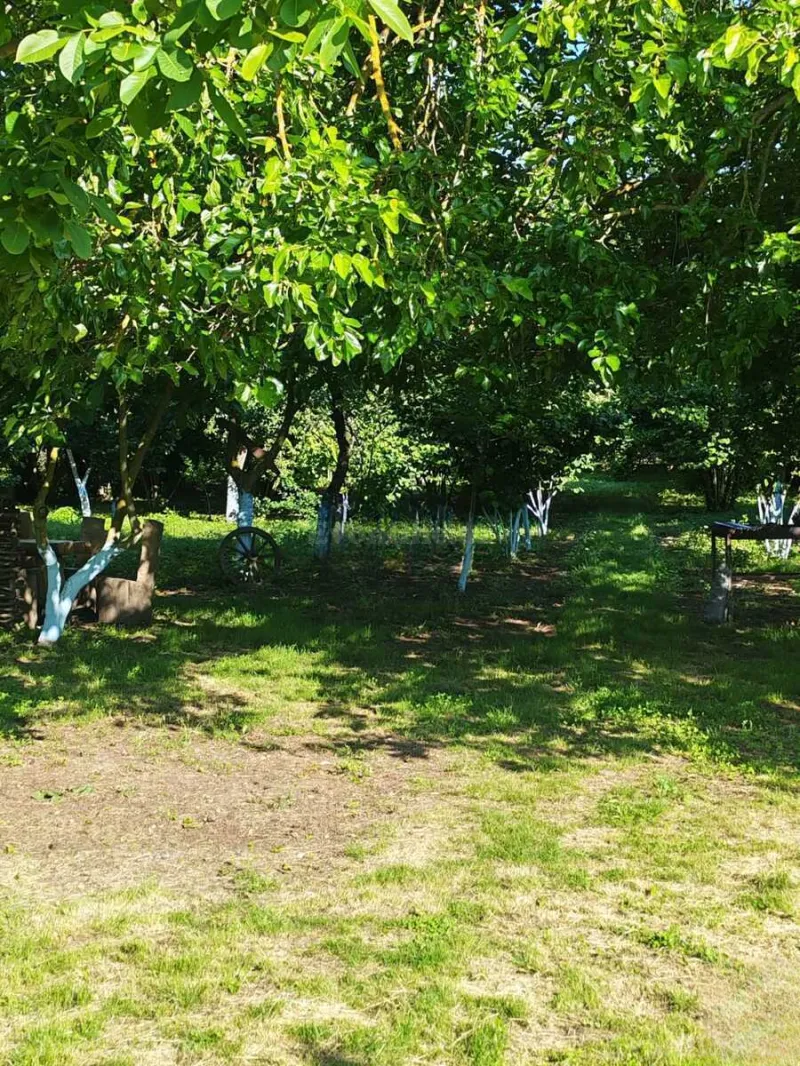 Kirayə verilir 3 otaqlı Həyət evi 250 m² Xudat - şəkil 2