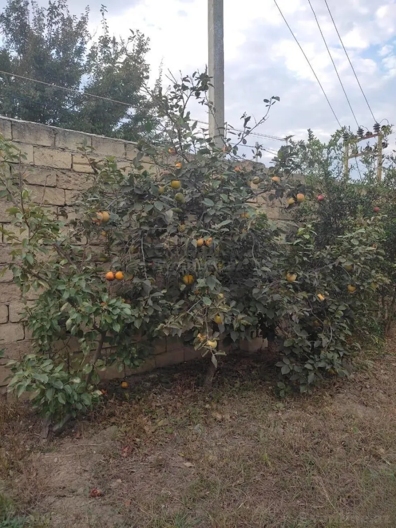 Satılır 4 otaqlı Həyət evi 200 m² Görədil - şəkil 5