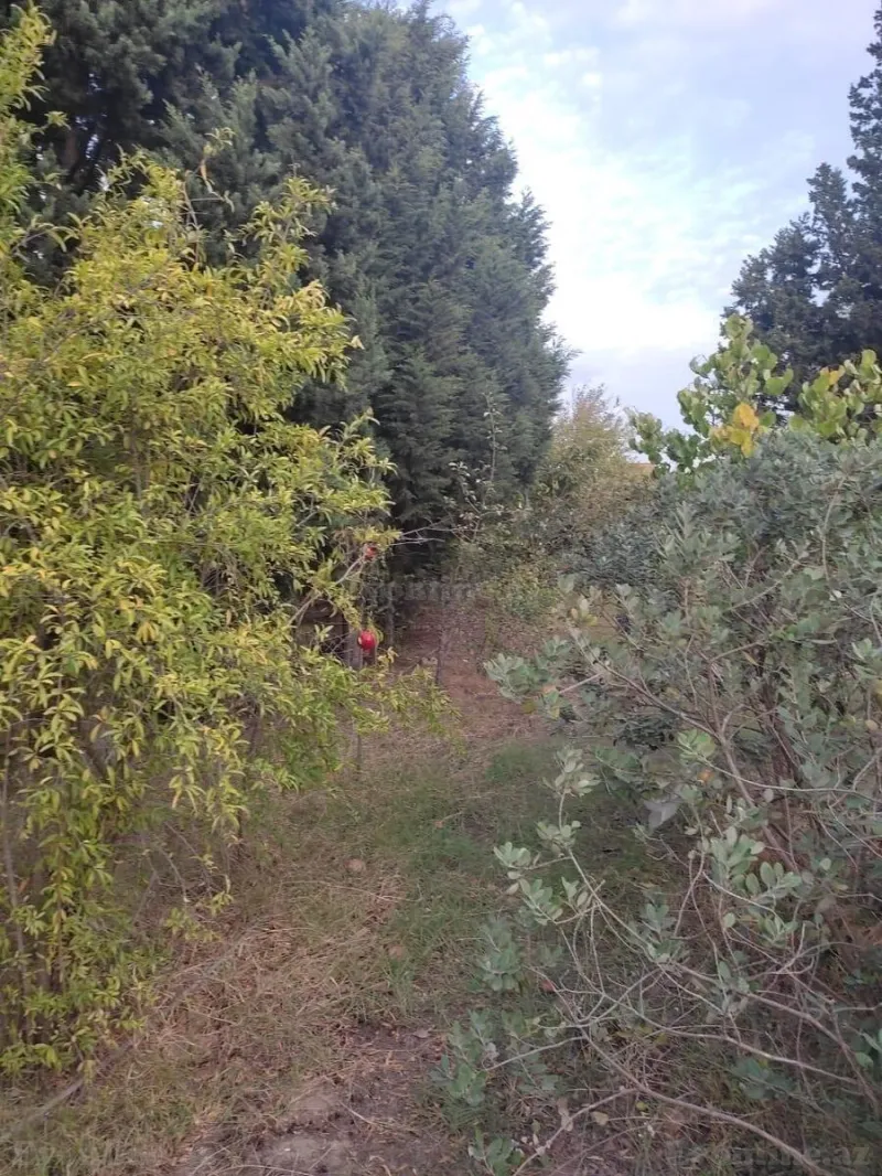 Satılır 4 otaqlı Həyət evi 200 m² Görədil - şəkil 7