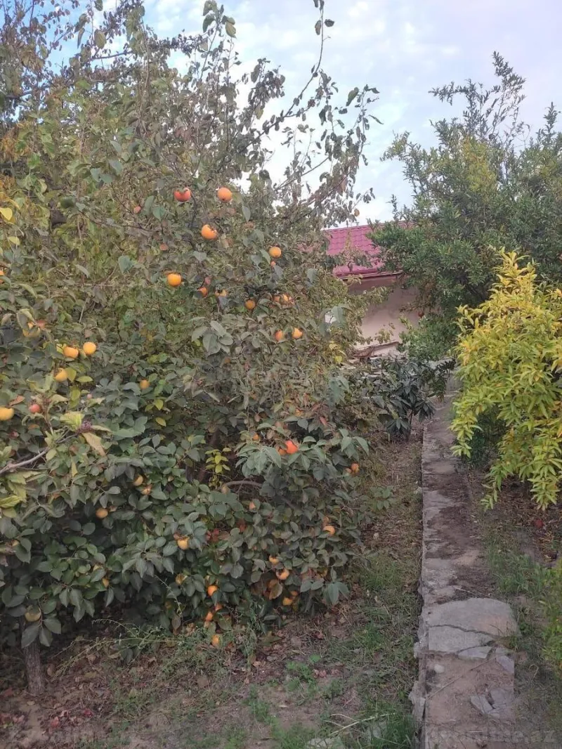 Satılır 4 otaqlı Həyət evi 200 m² Görədil - şəkil 9