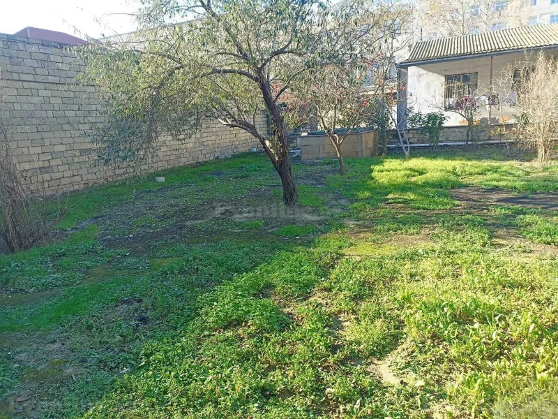 Satılır Torpaq 7.7 sot Badamdar - şəkil 2