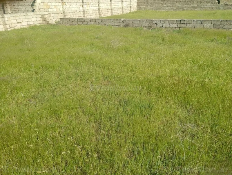Torpaq Nardaran Satılır