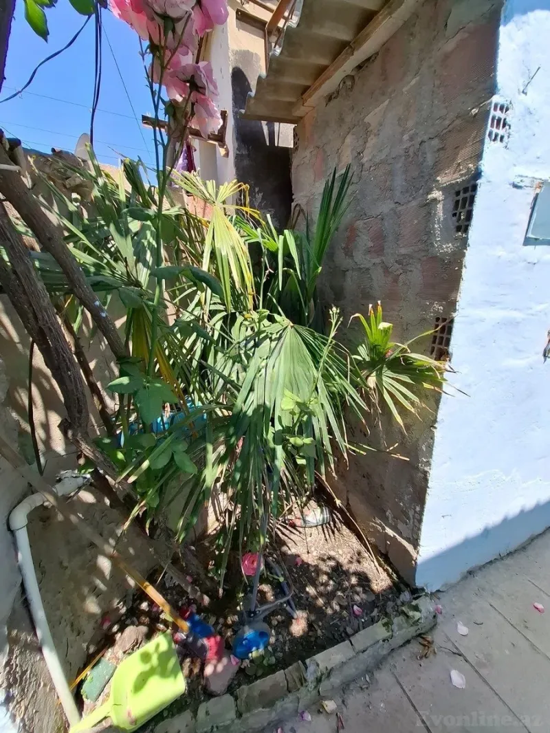 Satılır 1 otaqlı Həyət evi 40 m² Abşeron r. - şəkil 13