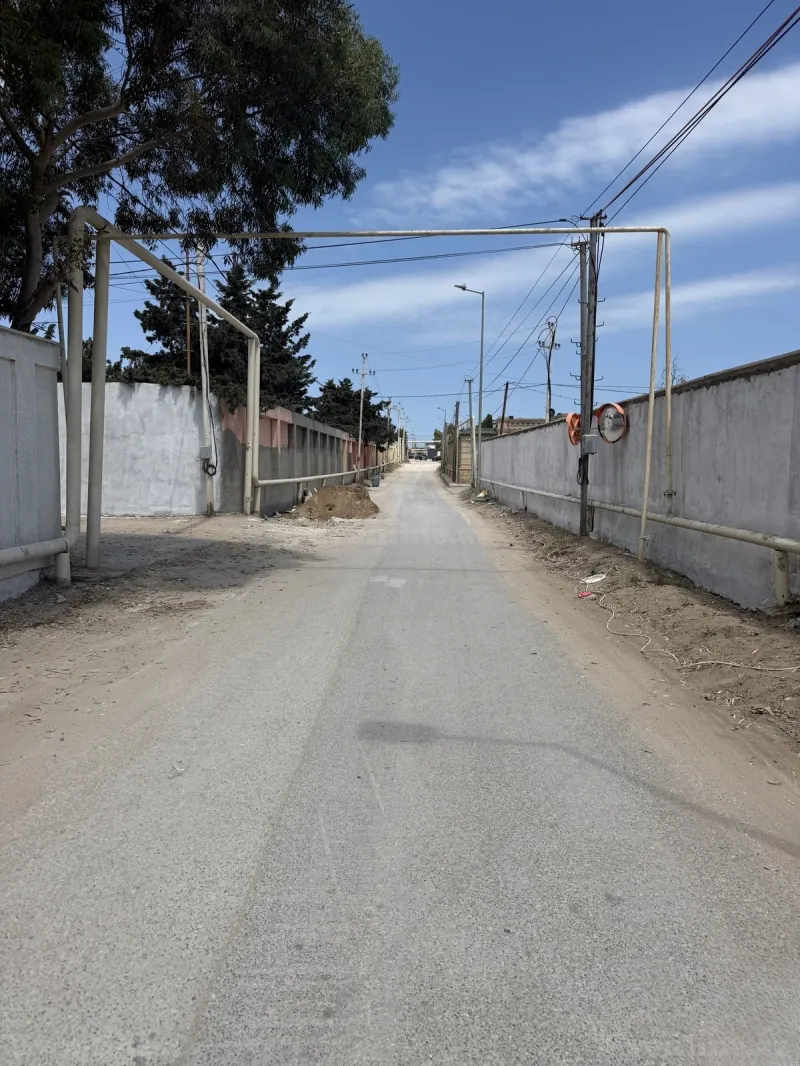 Torpaq Şüvəlan Satılır