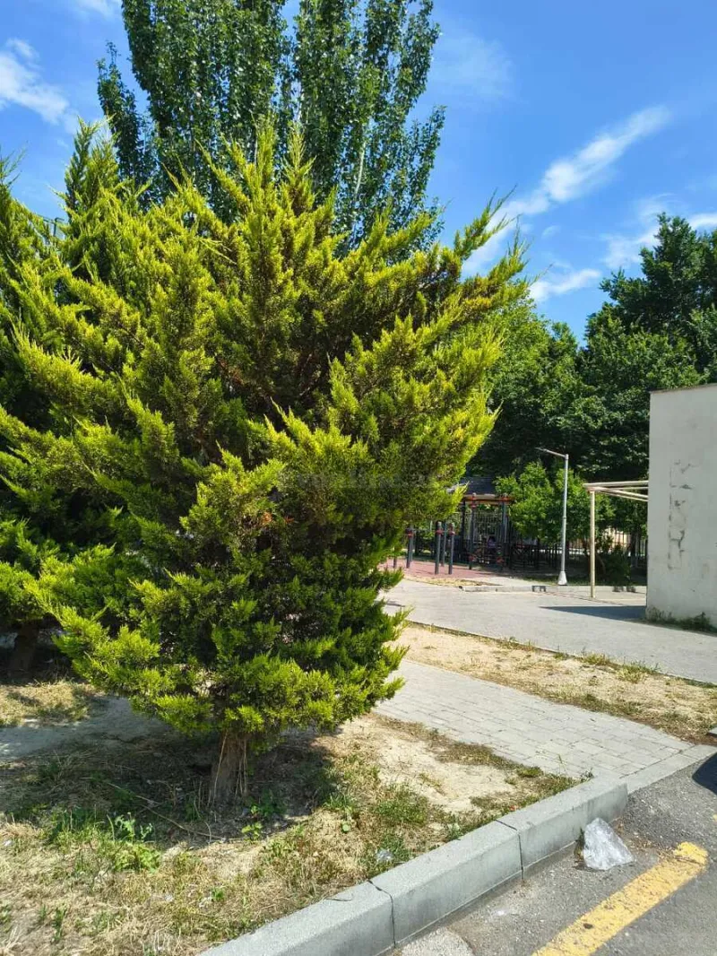 Satılır 2 otaqlı Mənzil Köhnə tikili 65 m² Bakıxanov - şəkil 17