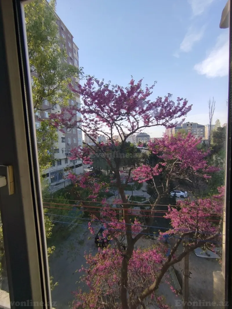 Satılır 2 otaqlı Mənzil Köhnə tikili 50 m² 8 Noyabr m. - şəkil 15