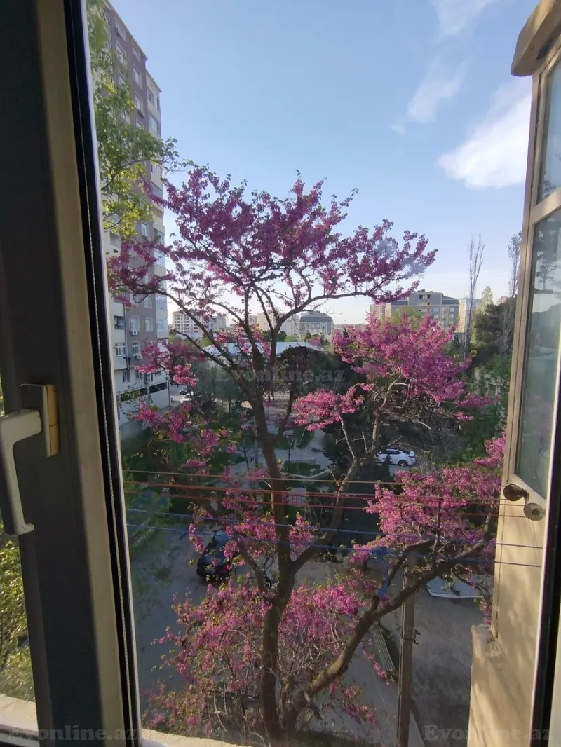 Satılır 2 otaqlı Mənzil Köhnə tikili 50 m² 8 Noyabr m. - şəkil 16
