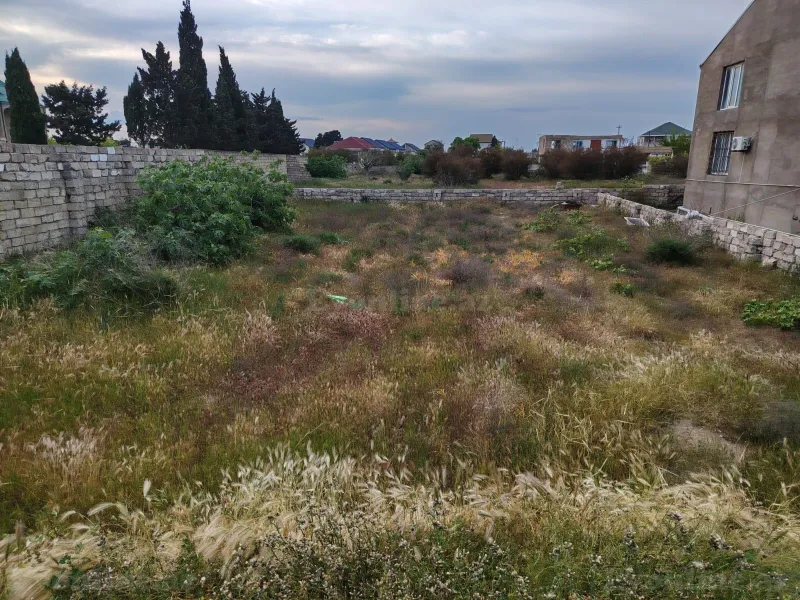 Torpaq Türkan Satılır